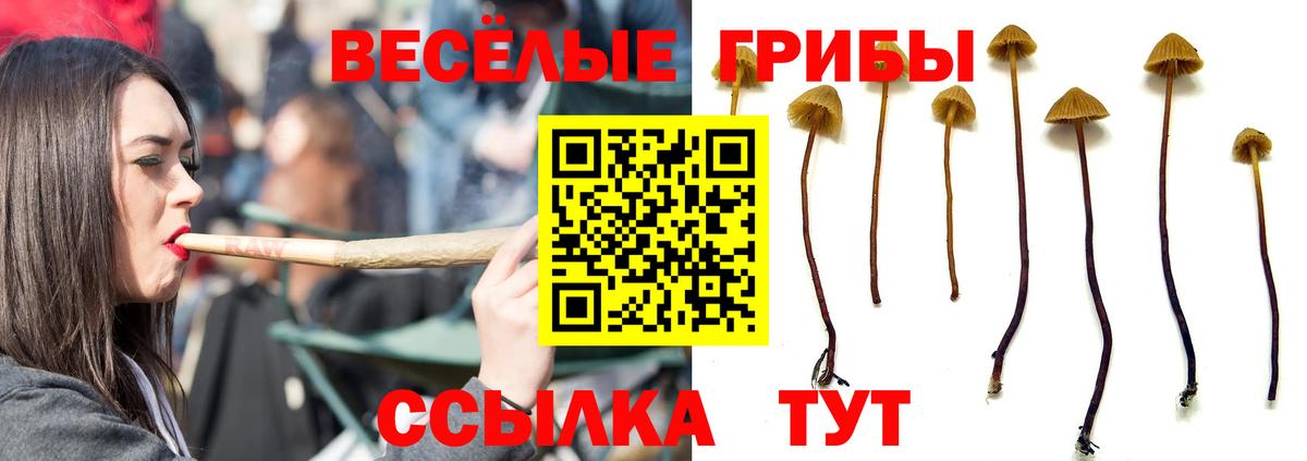Коркино  Галлюциногенные грибы мухоморы  Вход с VPN 