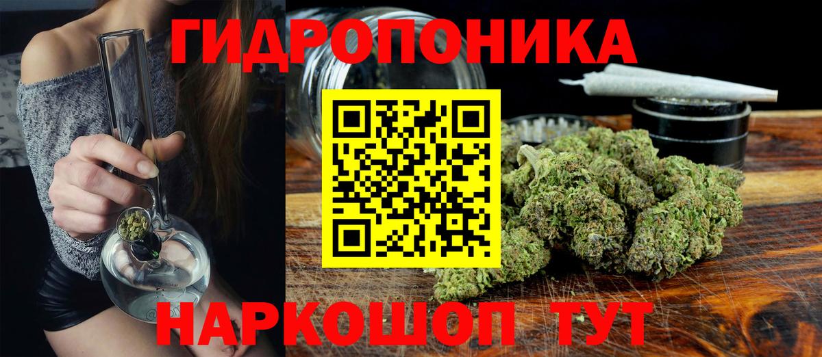 Конопля OG Kush Коркино